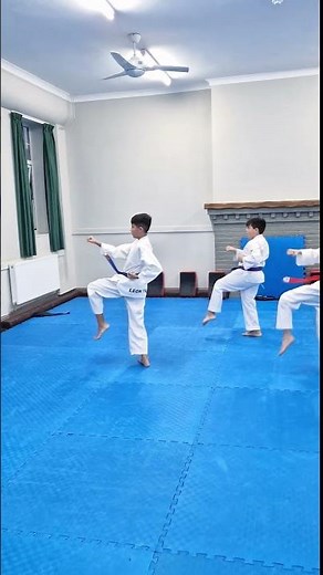 Taegeuk 2jang ( poomsae 2 ) #poomsae #taekwondo