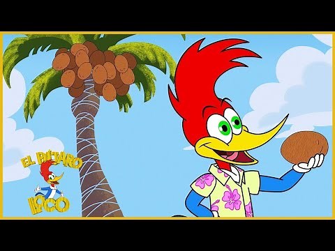 El Pájaro Loco en Español | Culpen a Río de Janeiro | Compilacion | Dibujos Animados