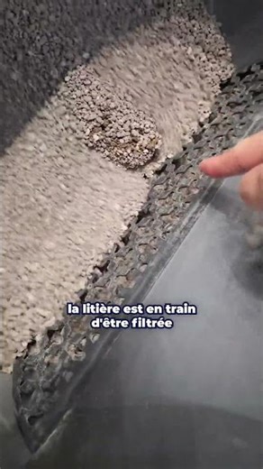 Un robot litière ?! #ifa #tech #litiere #chat #shorts