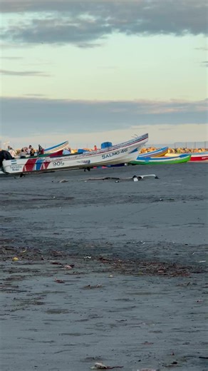 Discover Hotel Miramar Surf Camp at Playa Miramar