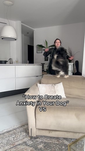AI Pet Translator: Enhance Your Dog's Communication