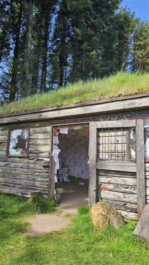 Exploring the Hidden Gem Eas Mor Library in Isle of Arran