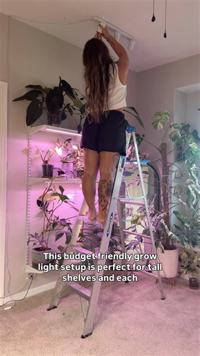 2.3K views · 340 reactions | I’ve had this set up for almost two...