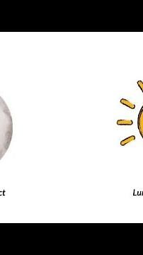 Luminous and Non Luminous Objects || Science experiment || Source of Light || Activity for Kids