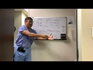 Micropsia vs Macropsia