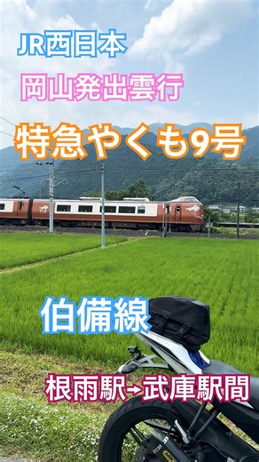 特急やくも9号岡山発出雲行 伯備線 撮影は根雨駅→武庫駅間