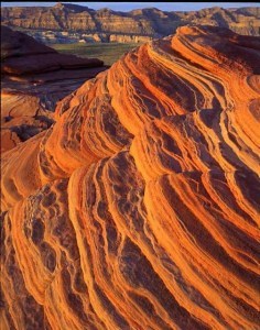 Hey Obama: Defend our public lands!