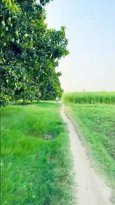 Center for Sustainable Village Life #villagelife