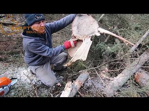 TMK 300 Tree Shear Harvesting Saw Logs, NO CRACKING!