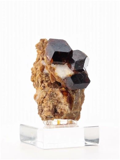 Garnet var. Andradite - Pakistan | Fine Art Minerals | Garnet | Specimen |