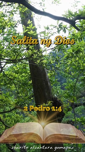 2 Pedro 1:4-7 #2Pedro1 #2Peter #2Peter1 #2Pedro #AngSalitaNgDios #WordOfGod #highlightseveryone #everyone #followers #risingcreator #highlights #StarsEverywhere | Charito Alcantara Gumapac