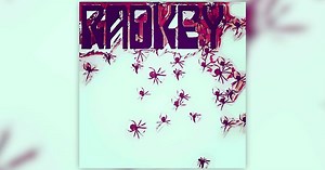 13K views · 332 reactions | Pre-Save our new song "Spiders" Coming January 11th! 蘭 https://forms.sonymusicfans.com/campaign/radkey-basement-save/ | Radkey | Facebook