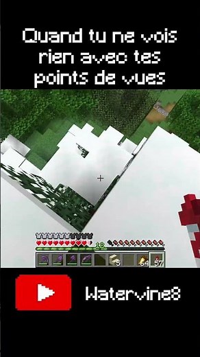 When your viewpoints show nothing #minecraft #minecraftshorts #minecraftfr