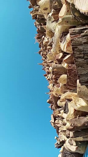 Truck Wheel Maintenance: Inspecting Tires and Alignment