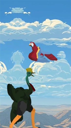 cassowary vs parrot(macaw)