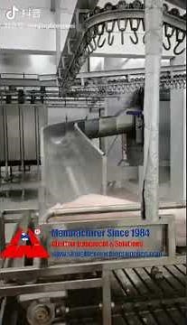 Pig slaughtering line equipment hog abattoir slaughter machine is working