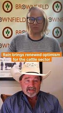 Rain Bringing New Optimism to the Cattle Market? | Joplin Regional Stockyards Update