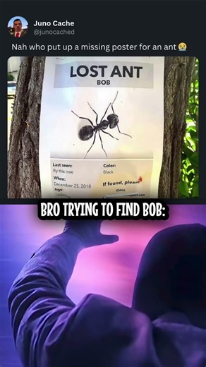 #creator 💀