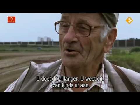 Taste the waste Taste the Waste 20101016