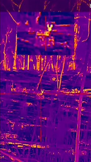 Thermal hunting with the new ATN Thor 6 Mini Scope #thermalhunting #hunting #atn #foxpro #shorts