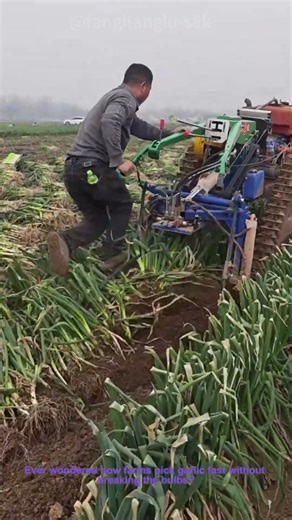 How Garlic Harvesters Speed Up Farm Work