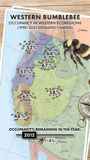 The Buzz on Western Bumblebees