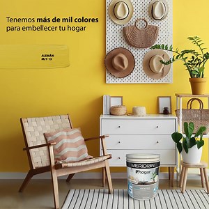 Meridian Calidad 5 tiene excelente poder cubriente y una gama de colores hermosos. ¡Búscanos en el pasillo de pinturas de tu autoservicio favorito! | Pinturas Meridian México