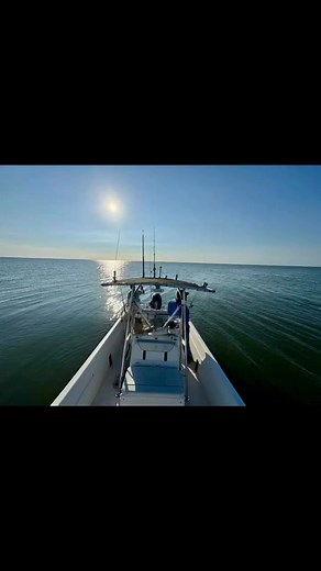 🎣 Good Ole Eastern shore Living!!! 🎣 #Gods Country | Timothy Hamilton