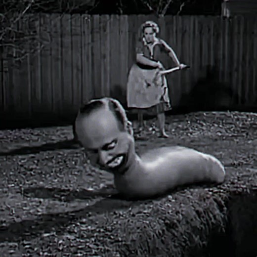 Aurora Gaming Momen Sora Montage in M7