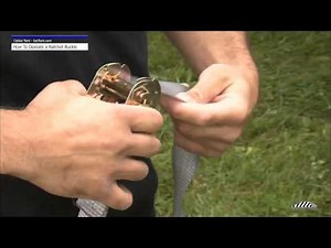 How to Operate a Ratchet Buckle Assembly