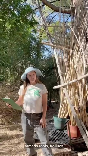 14 reactions | Sale: Bamboo Poles Special $25 bucket of mixed poles Bamboo Ranch LLC 520 743 9879 bambooranch@juno.com www.bambooranch.net Visits by appointment West side Tucson | Bamboo Ranch | Facebook