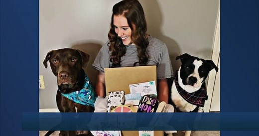 Dog Mom Box: Norton Shores woman creates subscription box supporting pets, shelters