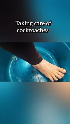 Crushing cockroaches barefoot | One stomp at a time | Dirty feet & sole reveal