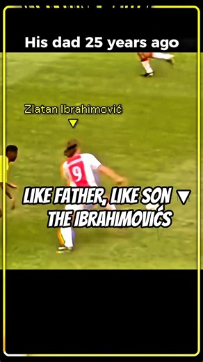 Like Father, Like Son ▼ The Ibrahimovićs