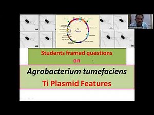 Questions on Agrobacterium tumefaciens and Ti Plasmid Features