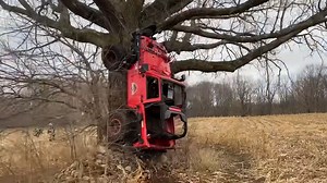 Watch this Jeep climb a tree like it's nothing