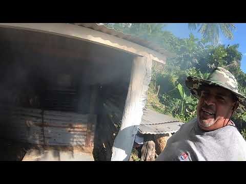 UNA EXCELENTE TRADICIÓN NAVIDEÑA, Las Piedras, Puerto Rico #347