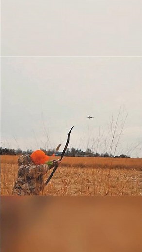 Pheasant Hunting With Bow 🏹🦃 #birdhunting #bowhunting #pheasant #bird #hunting #chaos