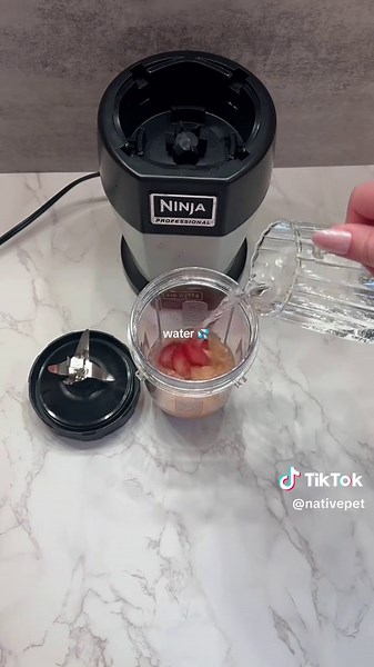 mixed berry smoothie dog treats 🫐🦴 recipe 👇 🫐 blend wated, strawberries, and The Daily in a blender. 🫐 pour mixture into treat molds 🫐 add blueberries 🫐freeze overnight 🫐 share with your dog for a boost of antioxidants, digestive support, immune support and more. ✅ frozen dog treats are so fun to make, so we hope you enjoy making these for your dog. 💙 #homemadedogtreats #frozendogfood #dachsundsoftiktok