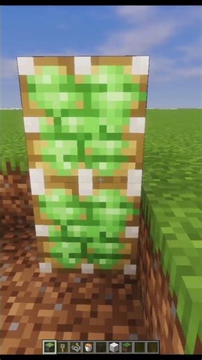 Lava Bridge in Minecraft! 🔥