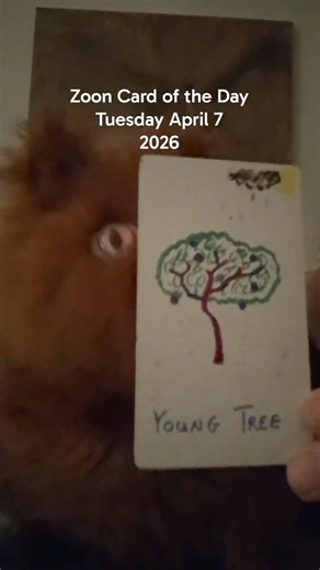 Zoon Card of the Day: Tuesday April 7, 2026