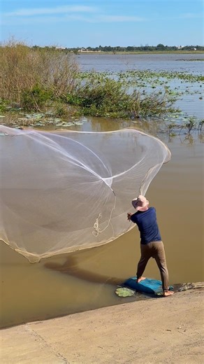 A large, beautiful spread net OUTSIDE