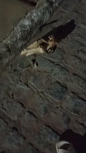 20 de março de 2026