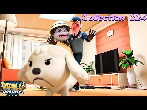 『Pipilu Rangers』Collection EP224 |Fun safety education cartoon for both children and parents