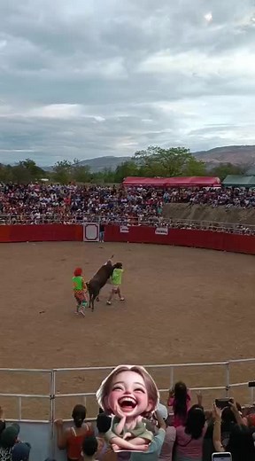 Corrida de Toros: Arte o Crueldad
