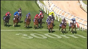 2.4K views · 58 reactions | It appears the pride of Gippsland, Mourinho, may have run his last race. Sit back and enjoy his G1 success in the 2015 Underwood Stakes! Gee, he was tough! | Racing.com | Facebook