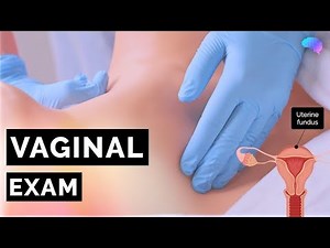 How To Examine Your VJ Comprehensive Vaginal Health Guide