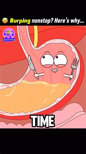 Health | Animation | Body on Instagram: "Do you ever wonder why you keep burping non-stop? Trapped air, eating too fast, fizzy drinks, spicy food, or acid reflux can all trigger endless burps. Slow down, sip water, avoid carbonated drinks, and check for reflux if it’s constant. Fix the habit — fix the gas. 👉 Follow @healthycartooniverse for more eye-opening health animations! #fyp #shorts #goviral"