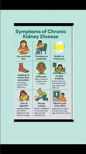 10 Silent Signs of Chronic Kidney Disease (CKD) You Might Be Ignoring 🚨