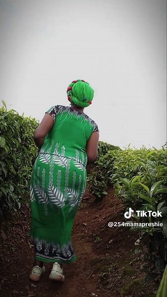 How to Use CapCut to Freeze Video Frames